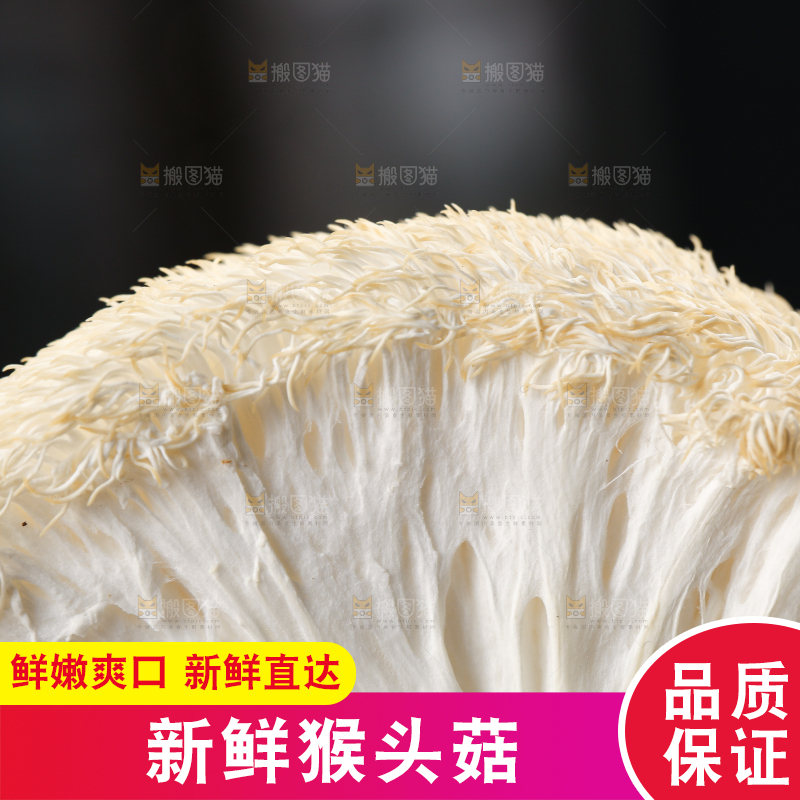 竹底上的云南新鲜猴头菇