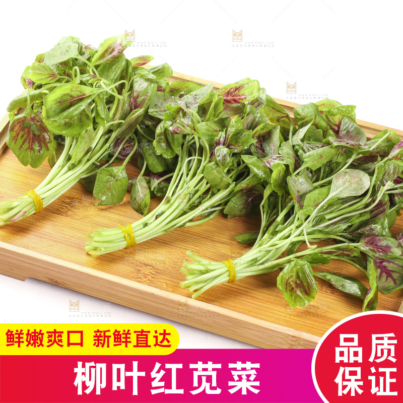 一盘红苋菜放在白底上