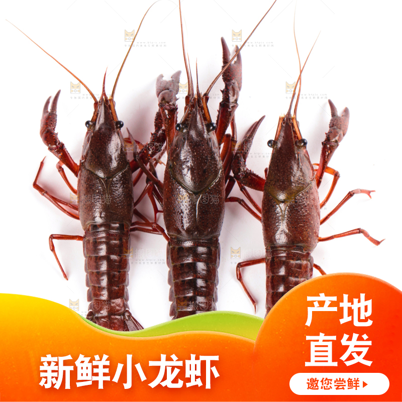 白底上放着潜江小龙虾