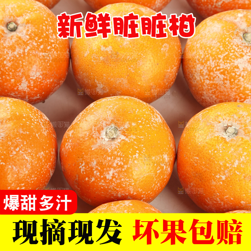 浅底上的武鸣茂谷柑