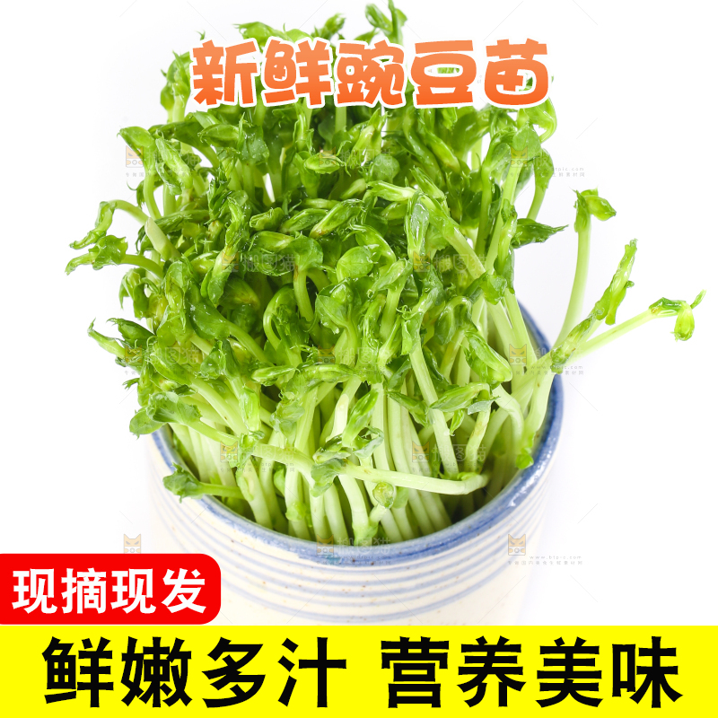 白底上放着豌豆芽菜