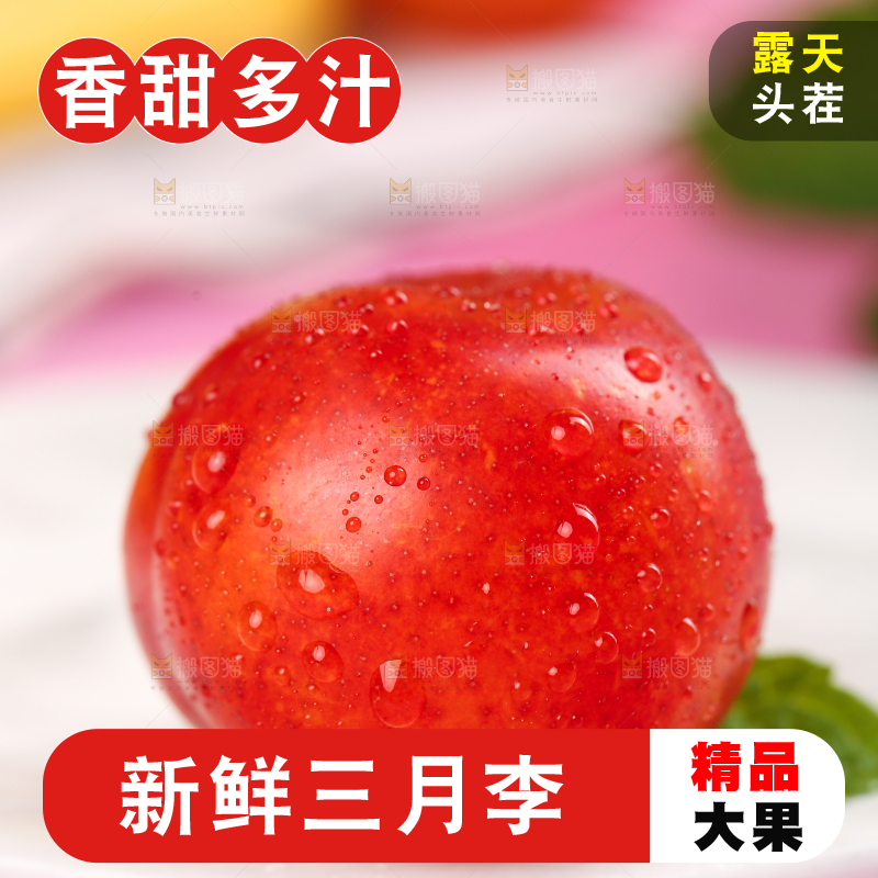 白石板上摆放着钱排三月李