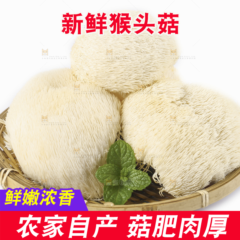 盘子里装着新鲜猴头菇