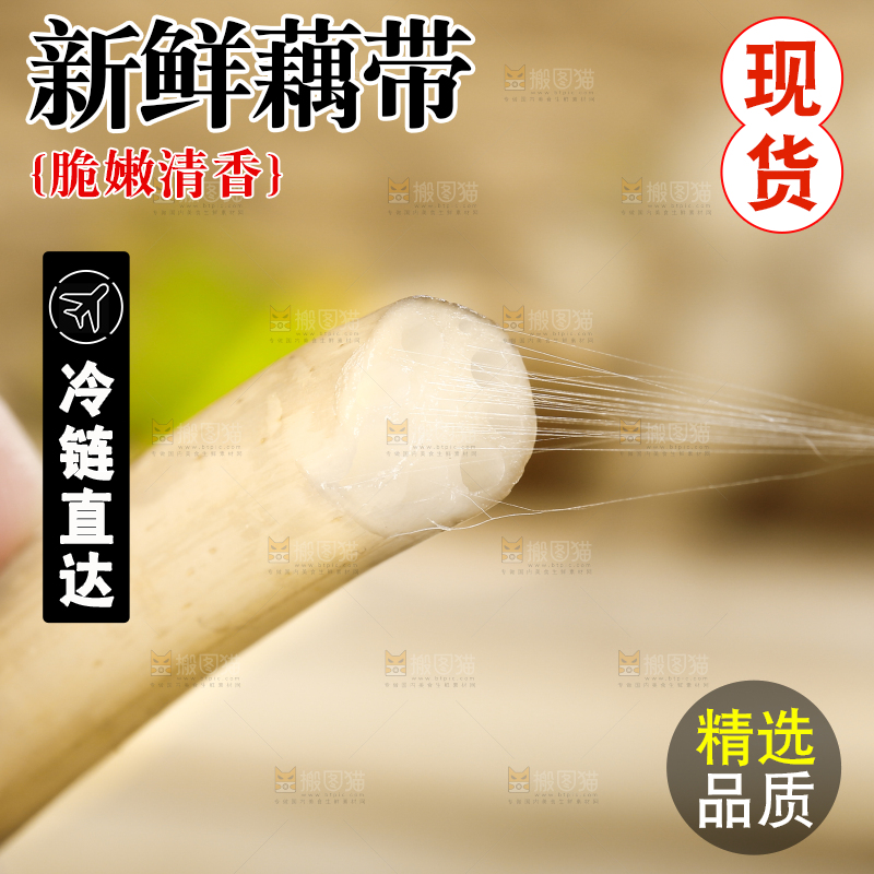 手里拿着藕苗