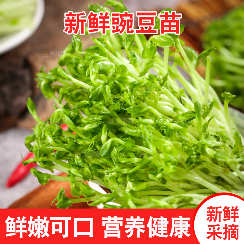 碗里装着豌豆芽菜