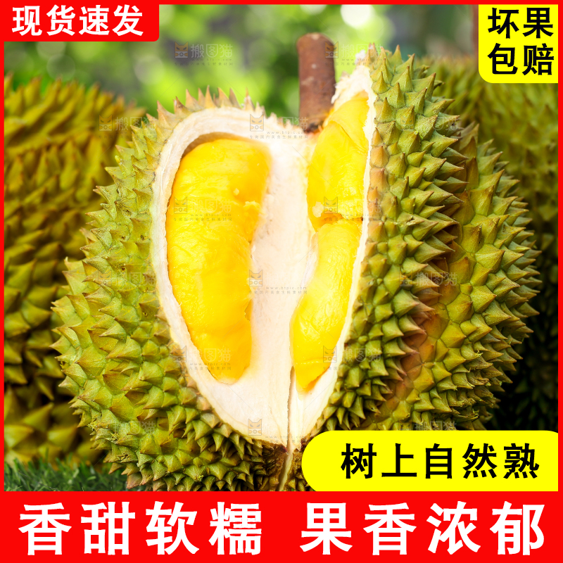 草地上摆放着甲仑榴莲