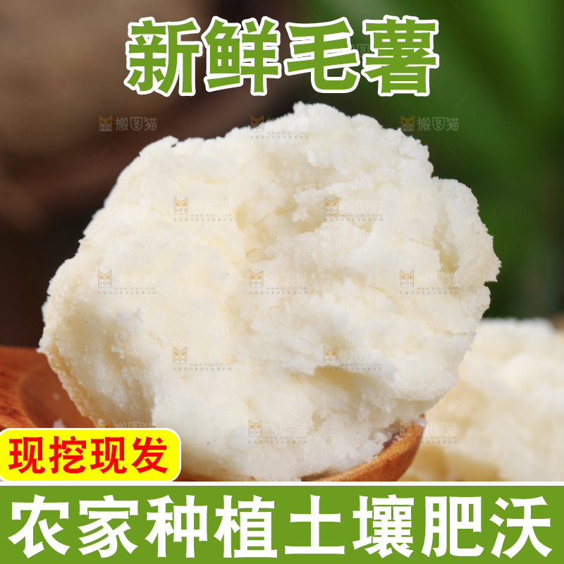 勺子里毛薯泥