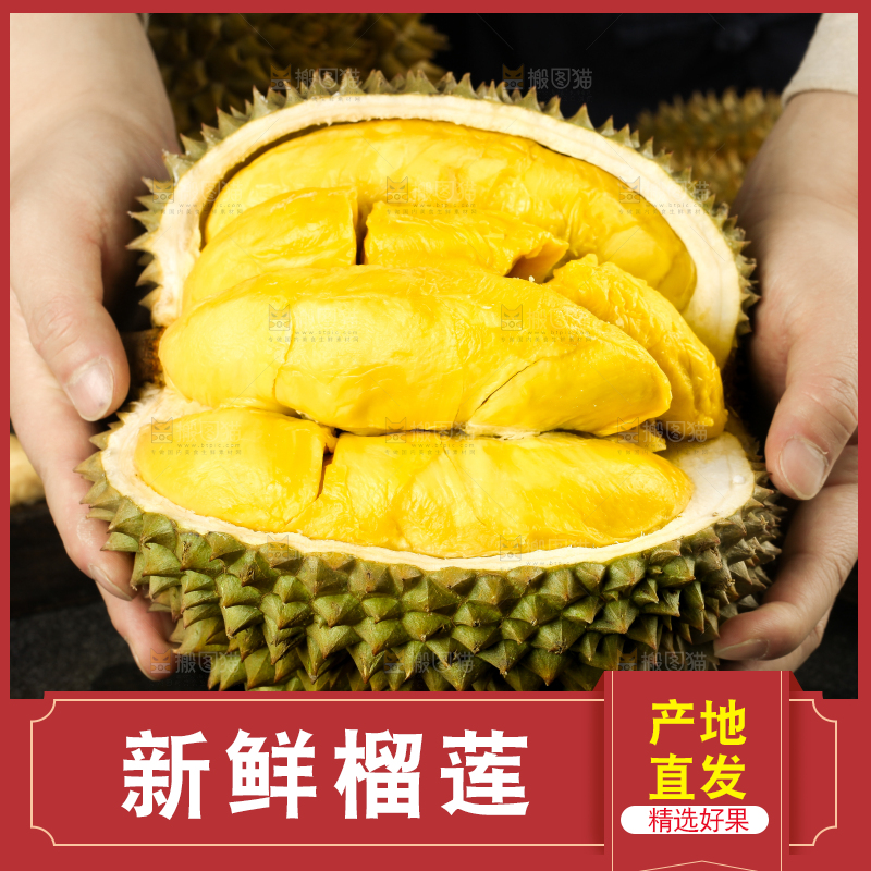黑底上的进口甲仑榴莲