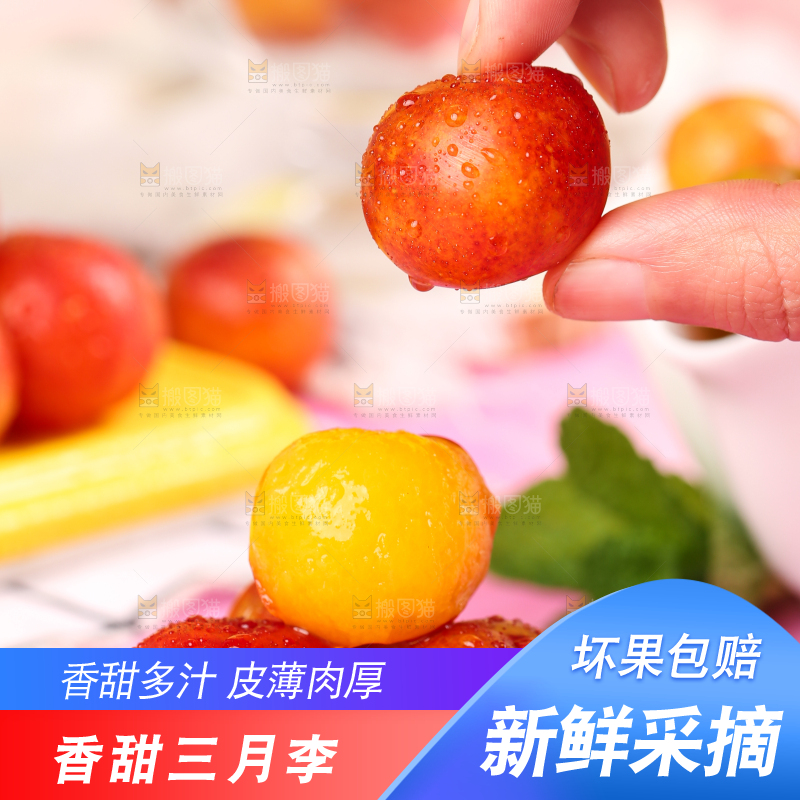 白石板上摆放着钱排三月李
