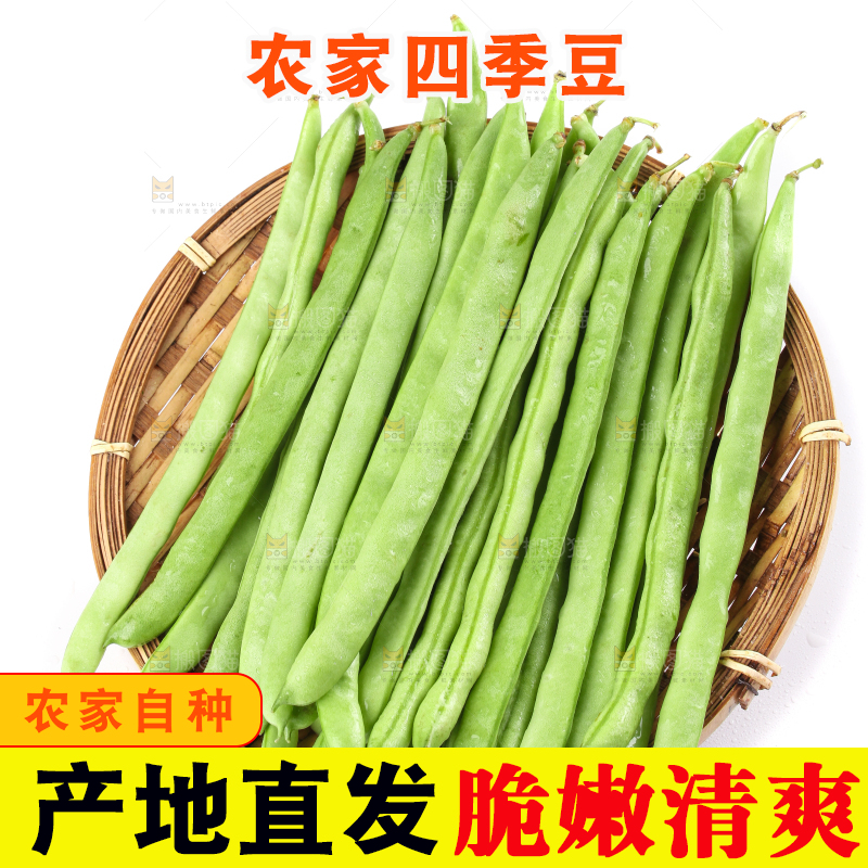 篮子里的云南无筋豆