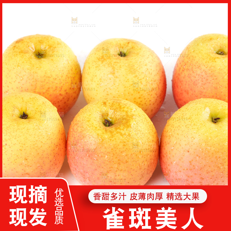 白底上的雀斑美人