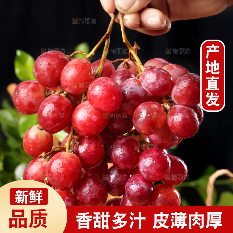 手拿新鲜红提
