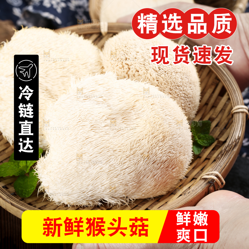 篮子里装着云南新鲜猴头菇
