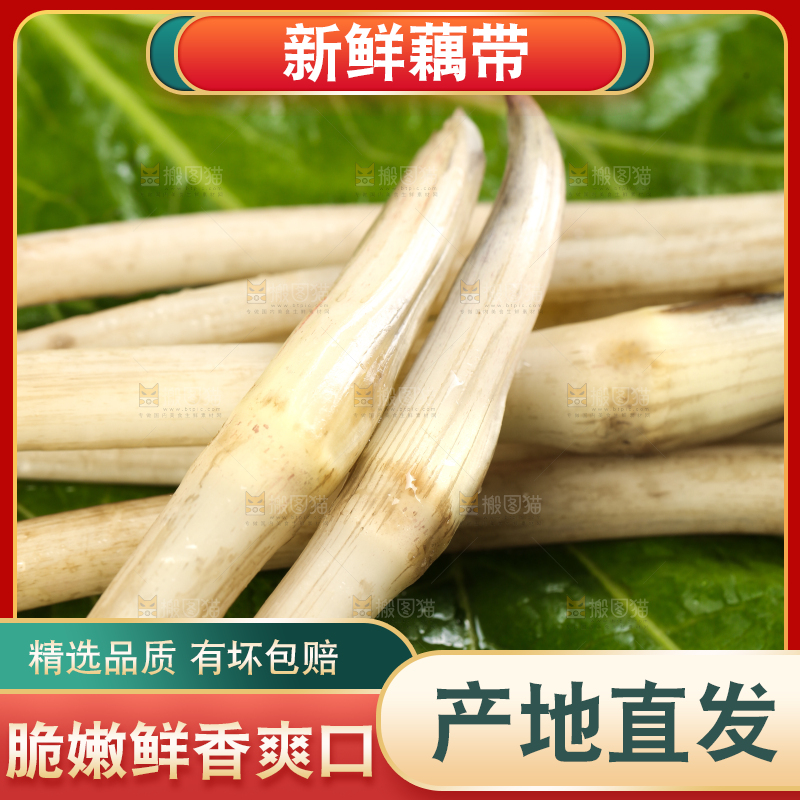 荷叶上放着洪湖藕带