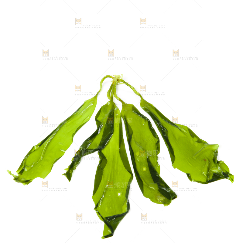 白底上放着海带苗