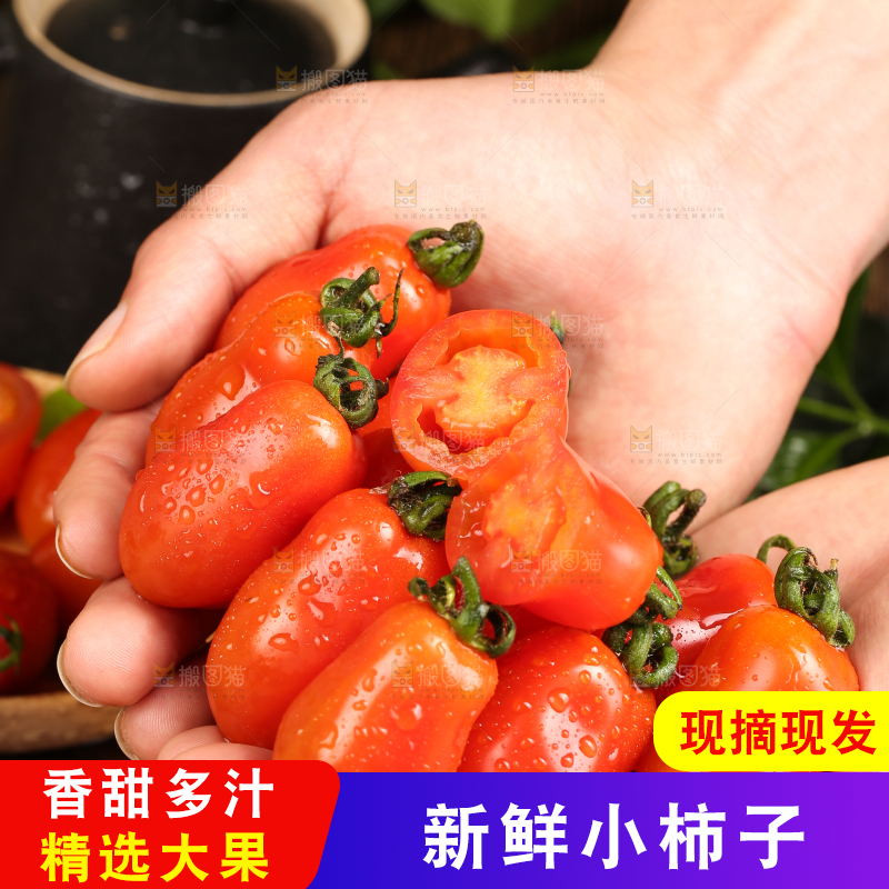 手里拿着丹东409小柿子