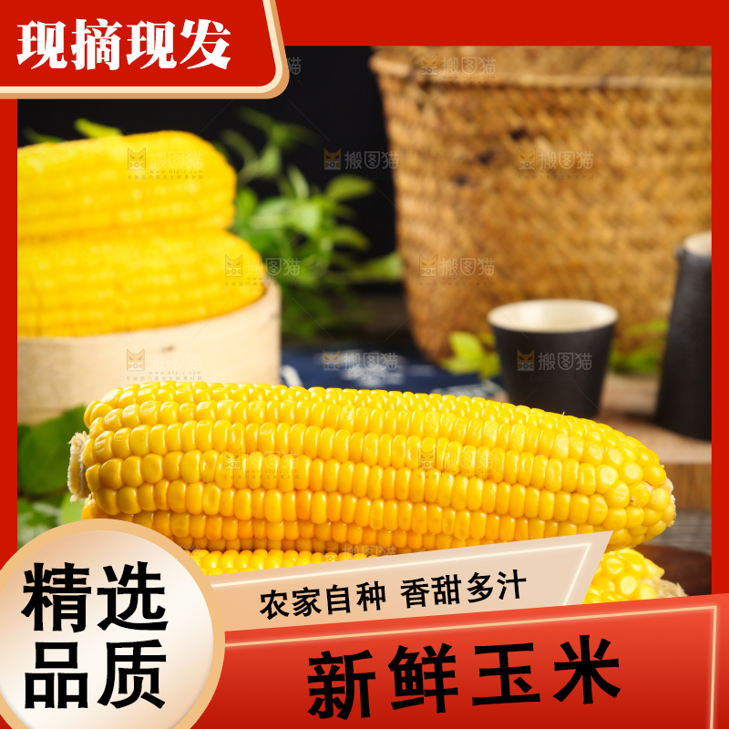 木板上的东北玉米