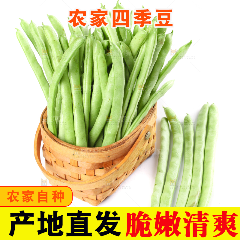篮子里的云南无筋豆