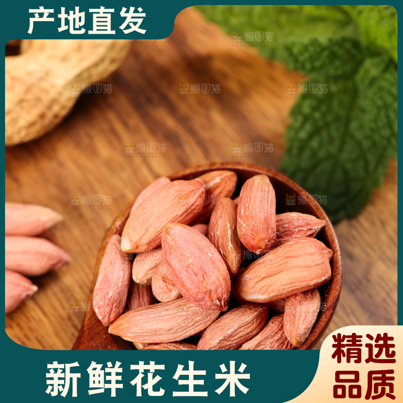 勺子里放着小瘪子花生米