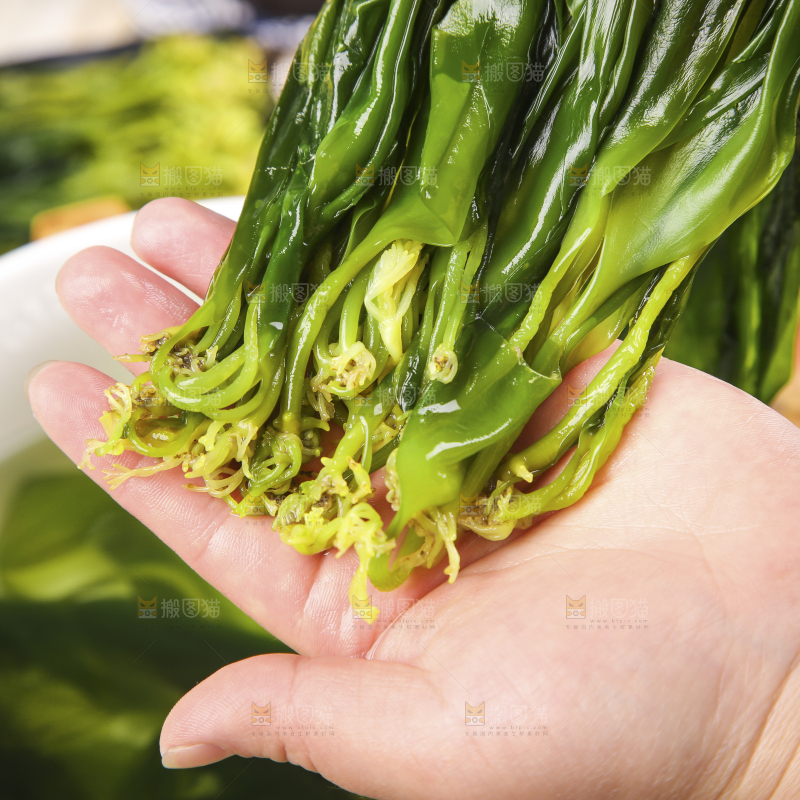 手里拿着小海带芽