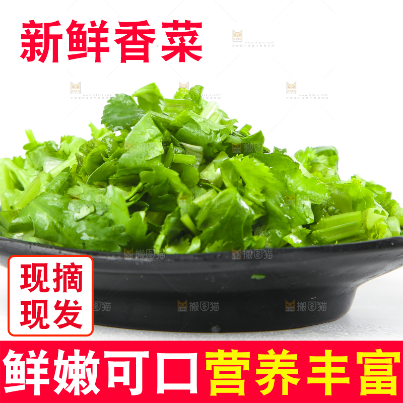 白底上放着一盘香菜
