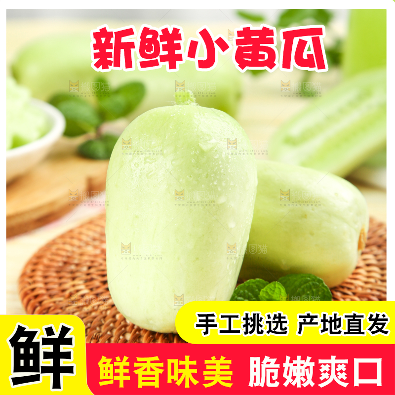 木底上的玉女黄瓜