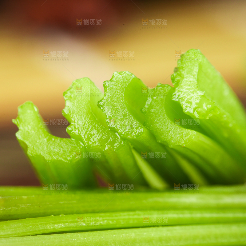 深底上的新鲜小香芹