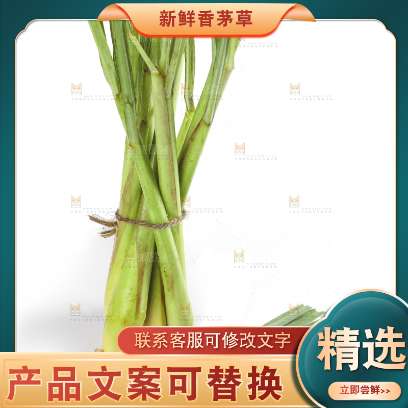 白底上的泰国香茅草