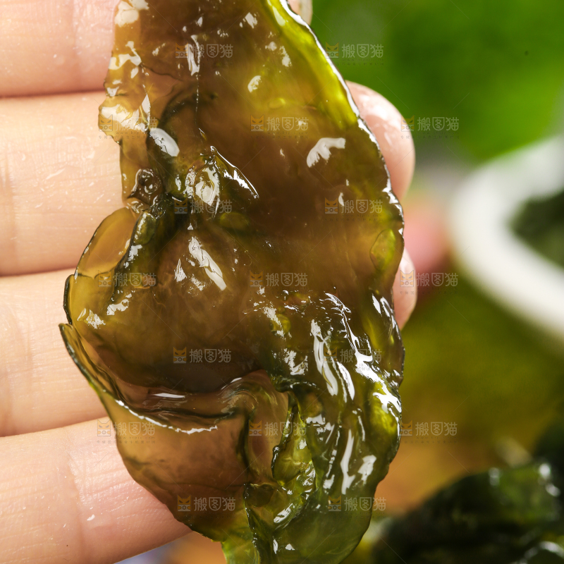 竹底上放着野生地皮菜