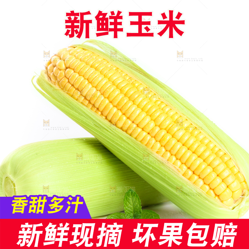 白底上放着黄玉米