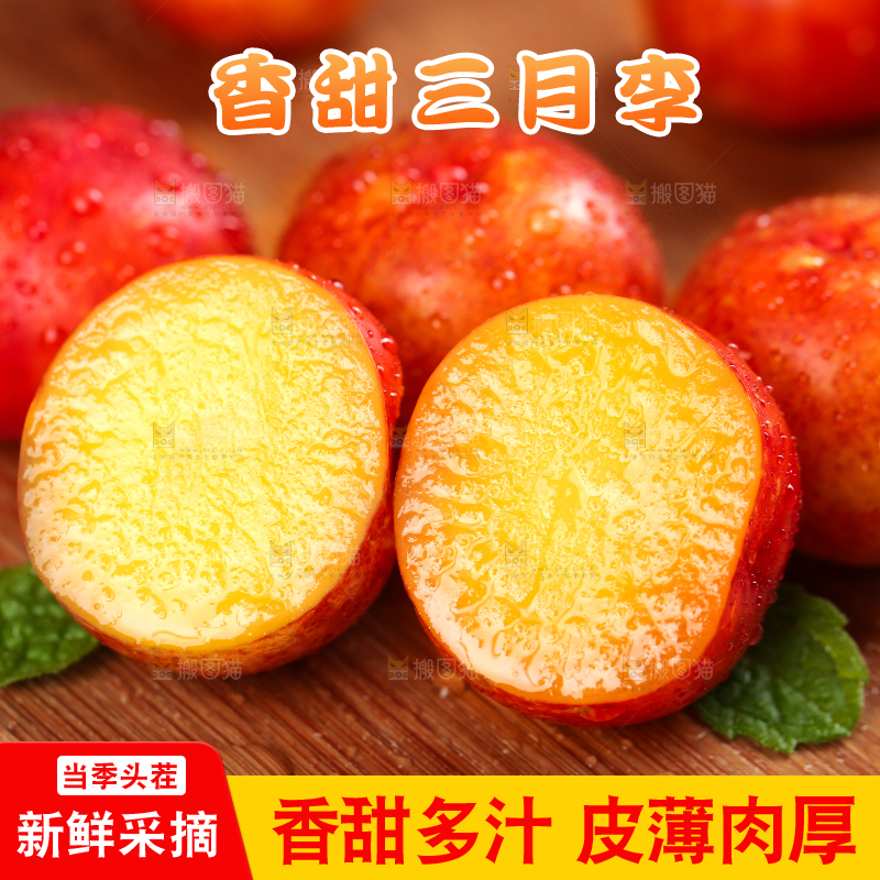 木板上的珍珠李