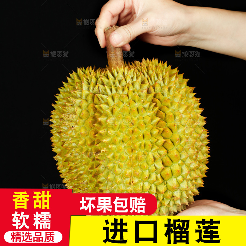 手里拿着进口甲仑榴莲