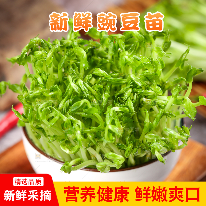 碗里装着豌豆芽菜