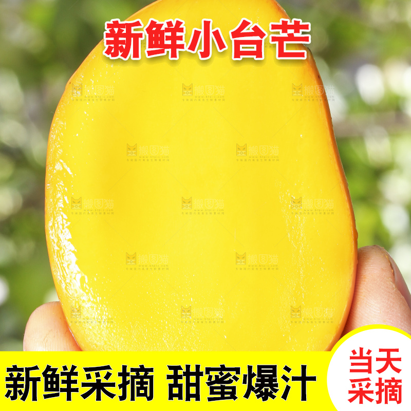 手拿剥皮的小台农芒