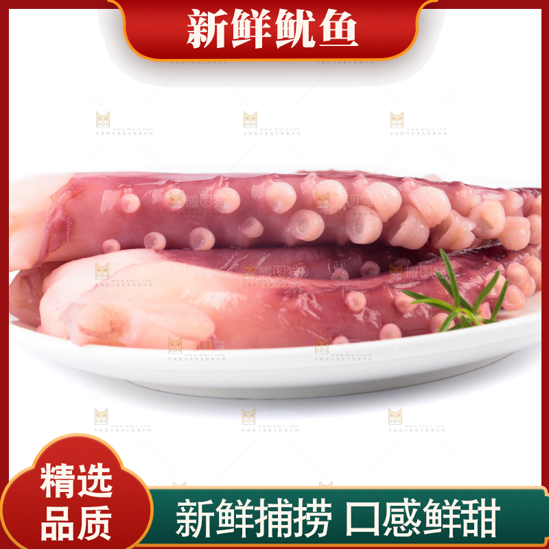 白底上的鱿鱼须