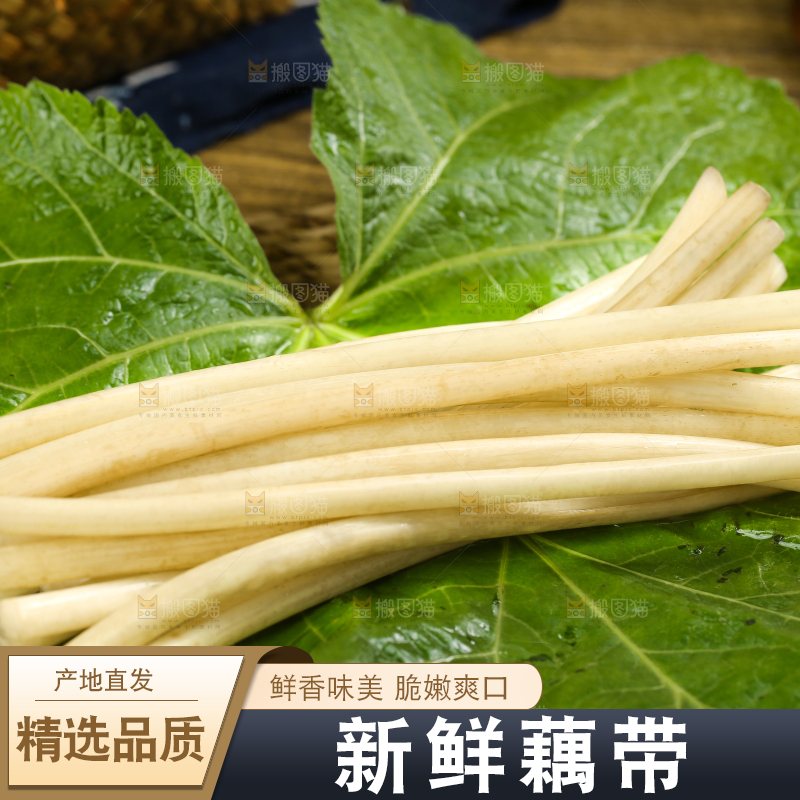 荷叶上放着洪湖藕带