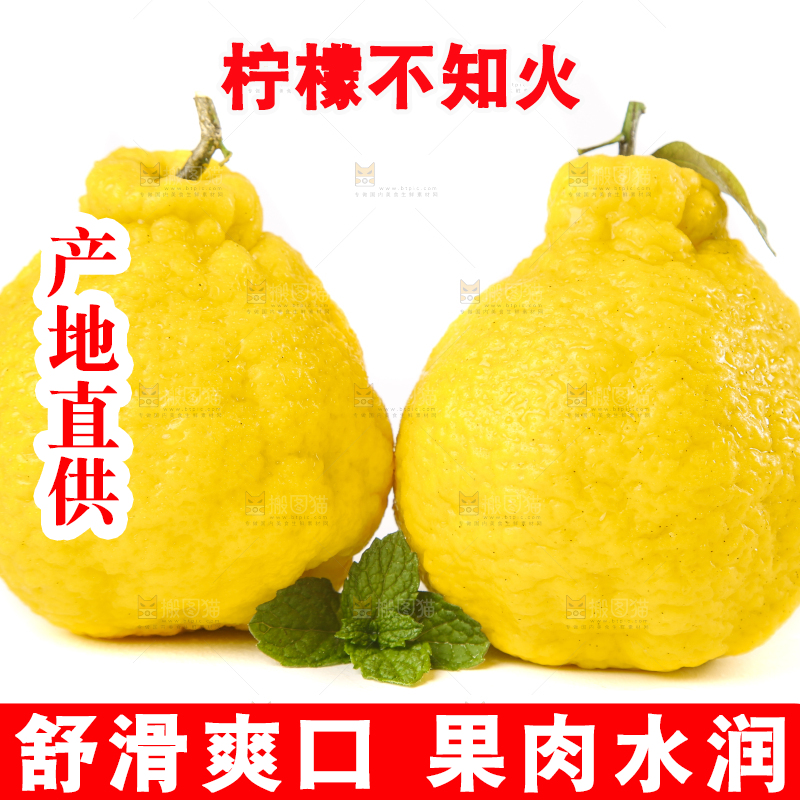 白底上放着四川柠檬不知火