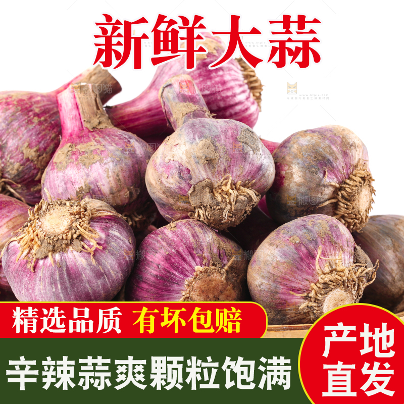 篮子里的大理紫皮多瓣蒜