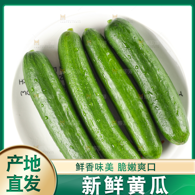 盘子里的无刺小黄瓜