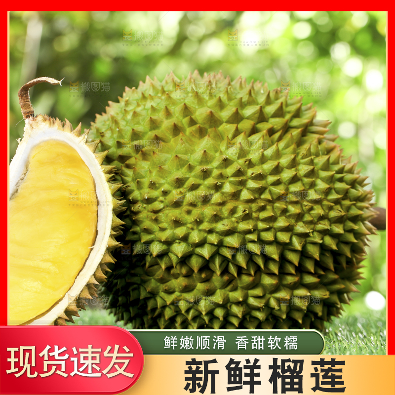 草地上摆放着甲仑榴莲