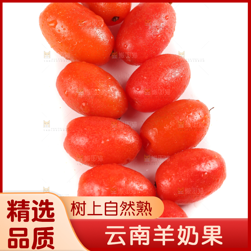 白底上的胡颓果