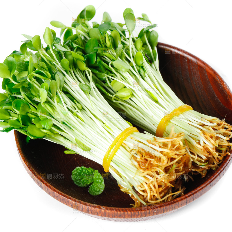 一碗香椿芽放在白底上