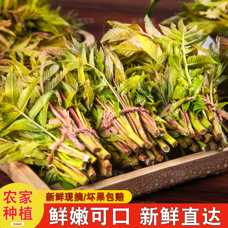 木底上放着一盘香椿芽