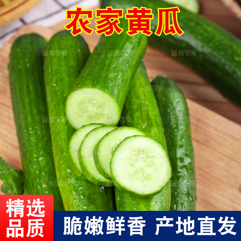 木板上放着无刺小黄瓜