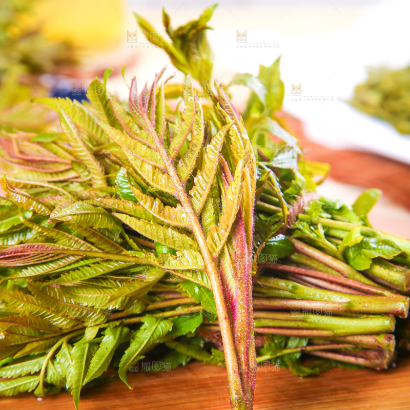 木板上的香椿芽