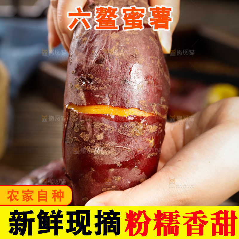 深底上的福建六鳌蜜薯