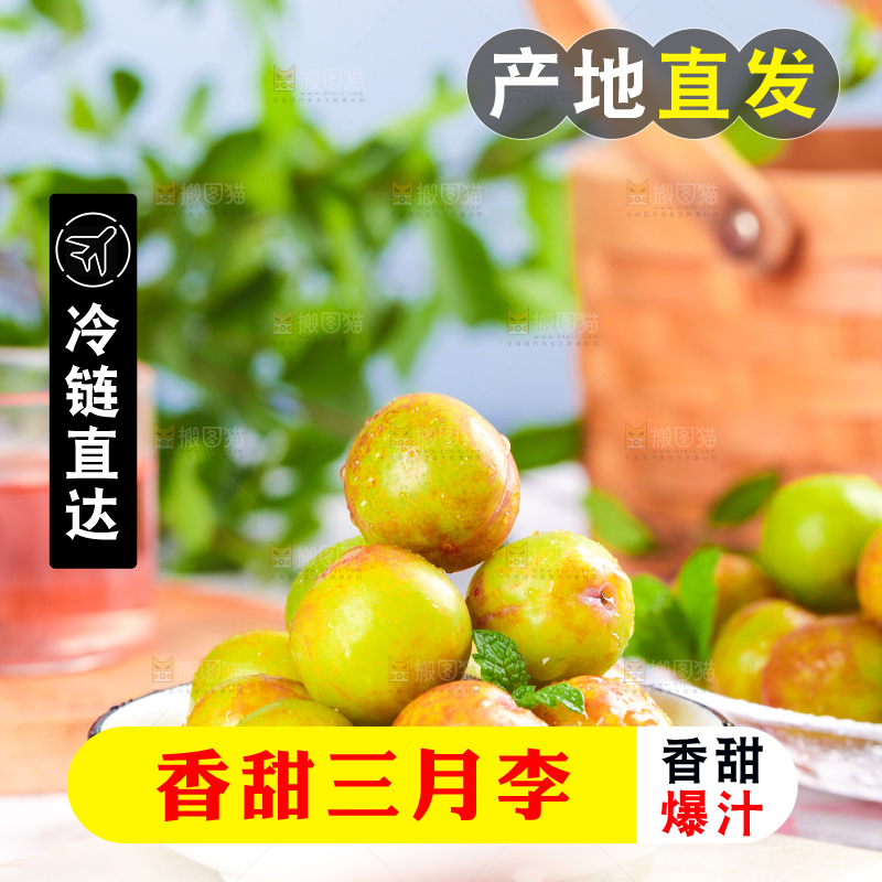 碗里装着钱排三月李