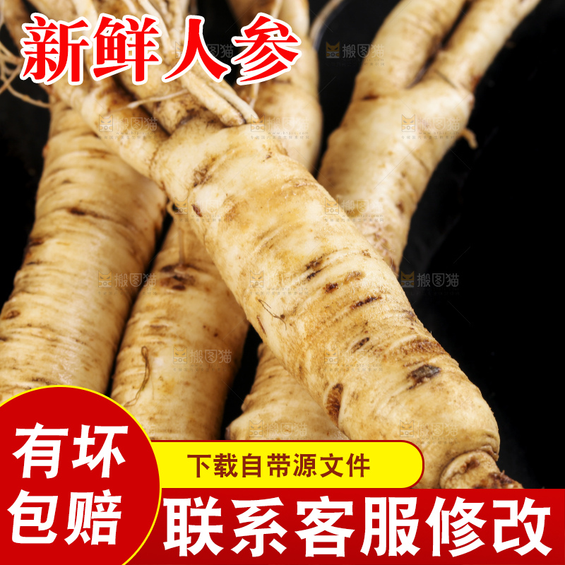 黑石板上的东北长白山人参