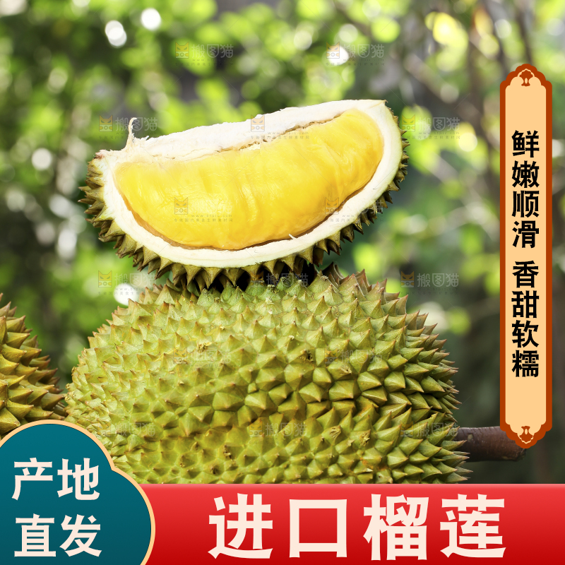 草地上摆放着甲仑榴莲