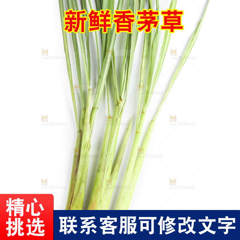 白底上的越南柠檬草